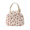 Waterproof Large Capacity Meal Bag Picnic